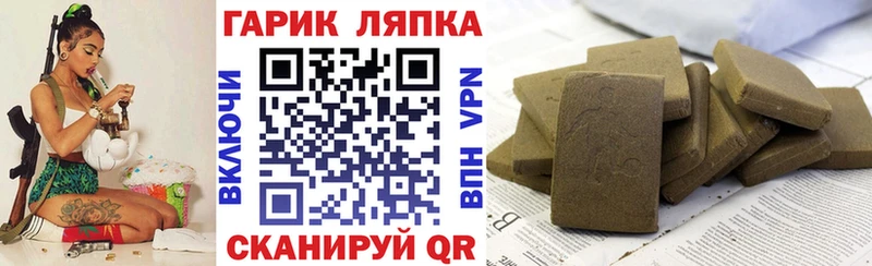 ГАШ Изолятор Ясный