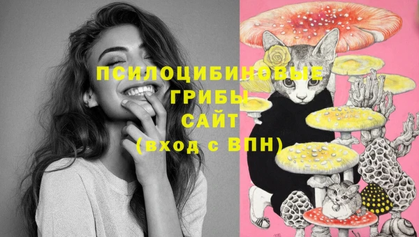 бутират Алзамай