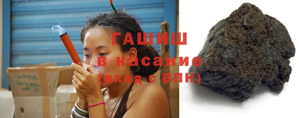 прущие грибы Абаза