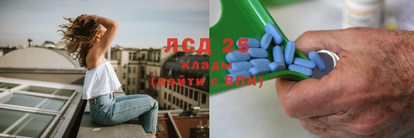 прущие грибы Абаза