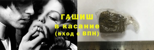 прущие грибы Абаза