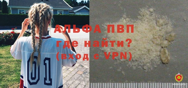стафф Михайловск