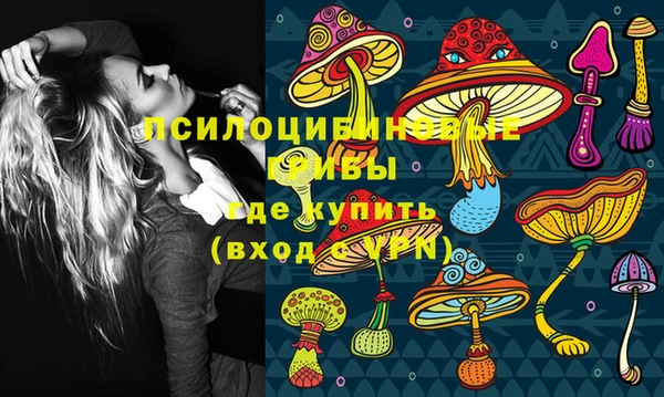 Альфа ПВП Алексин